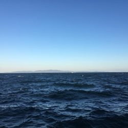 アジ釣れず終了